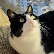 熬了鼓了就要嗨