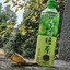 青梅绿茶