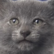 alexალექსი avatar