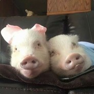 做一只快乐的小猪