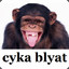 BoostedMonkey