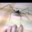 chill it's just a spider