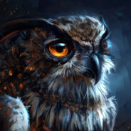 owl