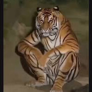 𝕲𝕬𝕿𝕾𝖀 𝖋𝖋