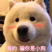 看到我你已经死了