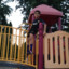 Mansour1