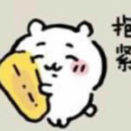 和小狗散步才是正经事