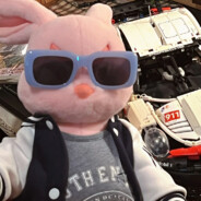 月中繁星月中眠