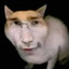 Maikel