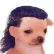 Gui