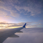 冚家鏟泥齊種樹