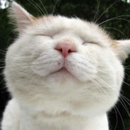 阳光男孩界徐盛