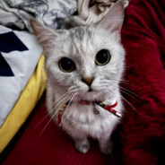 ⫍ ⃢ ⫎3⫍ ⃢ ⫎