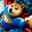 SuperDoge