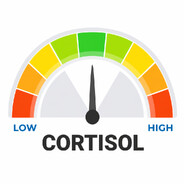 medium cortisol