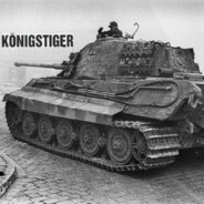 Königstiger
