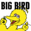 [EASY] big bird