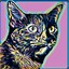 CriticCat