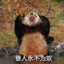 大雷