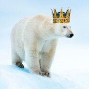 King polderbear
