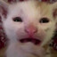 road to seeker 2's avatar