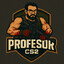 Profesor