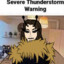 Feral_Bees