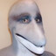 spungywungy