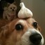 Pes s garlic na head