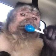 Tonhão da Borracharia