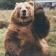 最勇猛突破手布莱恩