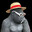 Kongdigo