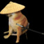 samurai doge