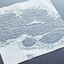 wet paper