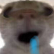 Hajimi