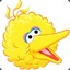 BIGbird