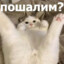 Алёшенька