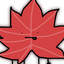 mapleeee