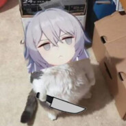 北京市海淀区头号狠人