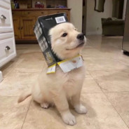 东山顶上抡大锤