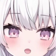 ❀白发猫猫头❀