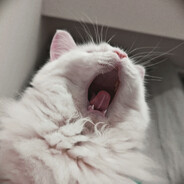 加几点就睡.囧(눈_눈)