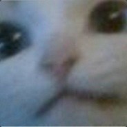 THE OCEAN IS BIG AND BLUE