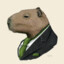 MR. CAPIVARA