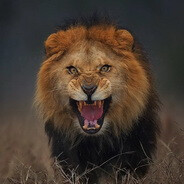 (｀□′) 超级低手