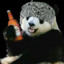 Alcoholic Panda