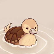 TheTurtleDuck