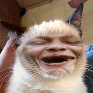 _Обкуренный-_-Кот_