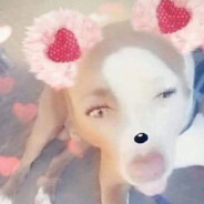 cσмɛ∂σr ∂ɛ casa∂as