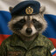 Evil Raccoon
